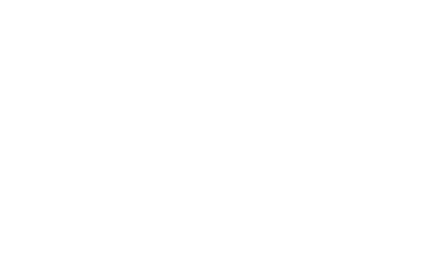 Яндекс рассматривает покупку российского бизнеса Flowwow