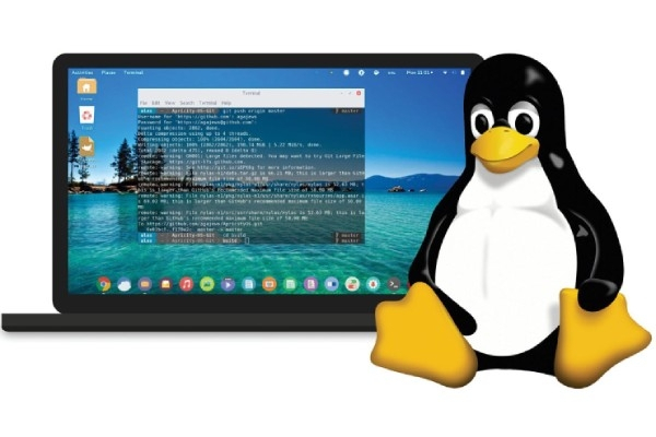 Ноутбук без Windows, Intel и AMD: уникальный апгрейд с возможностью установки Android и Linux по доступной цене