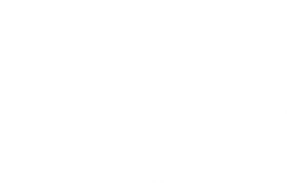 Электронные горизонты: как VVP Group стала лидером на рынке техники